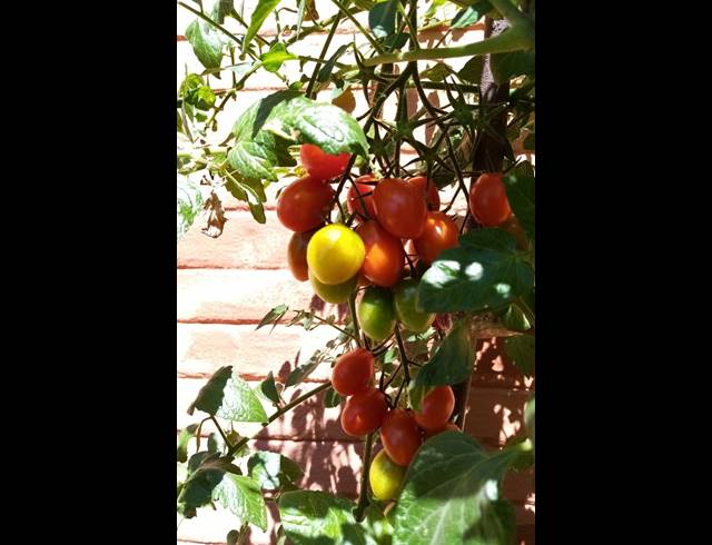 0 bed property to rent in BLAIRGOWRIE